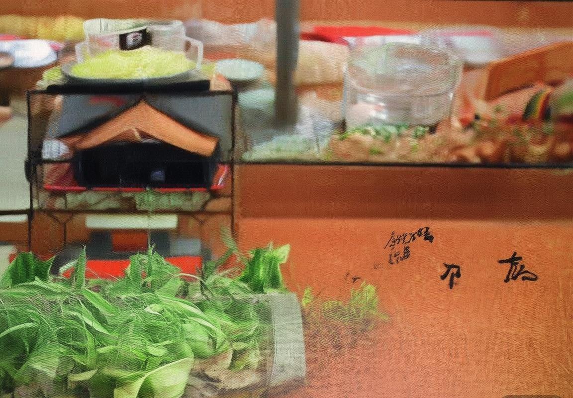 芬兰VS希腊：足球对决中的战术碰撞与文化交融(图2)